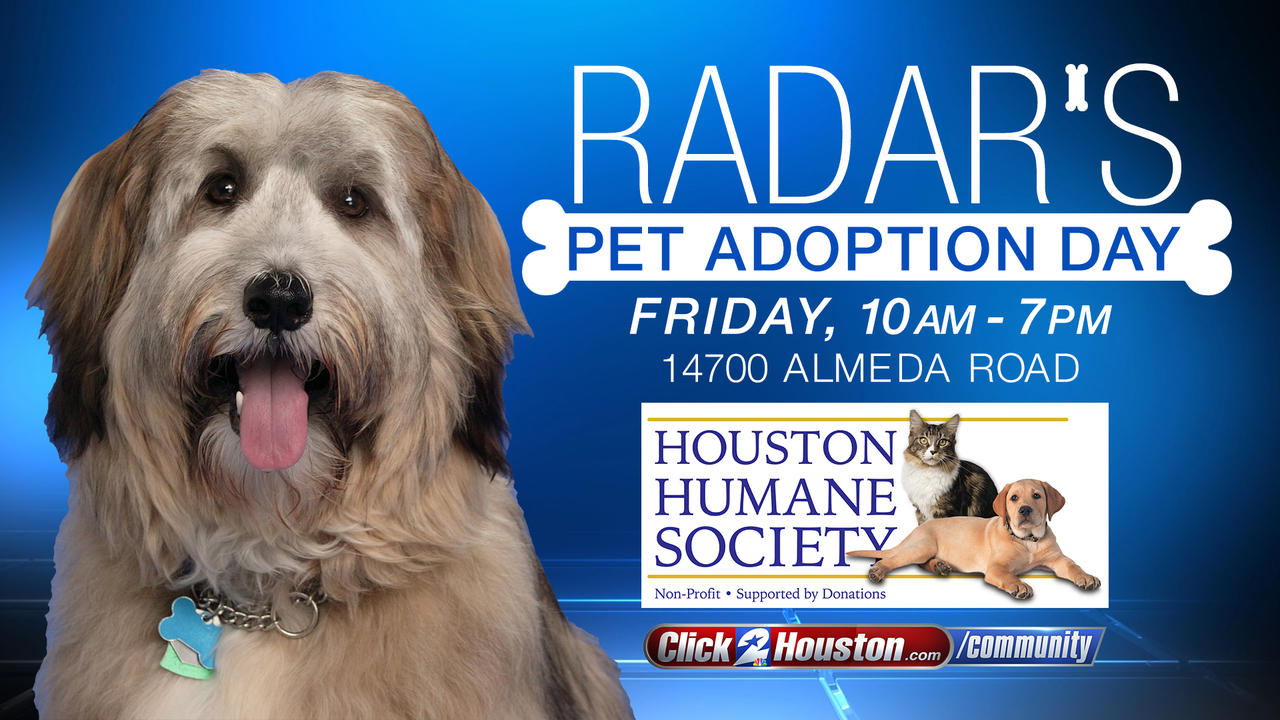Radar the dog's pet adoption day in Houston